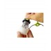 Лампа Goal Zero Light-A-Life Mini USB Light V1